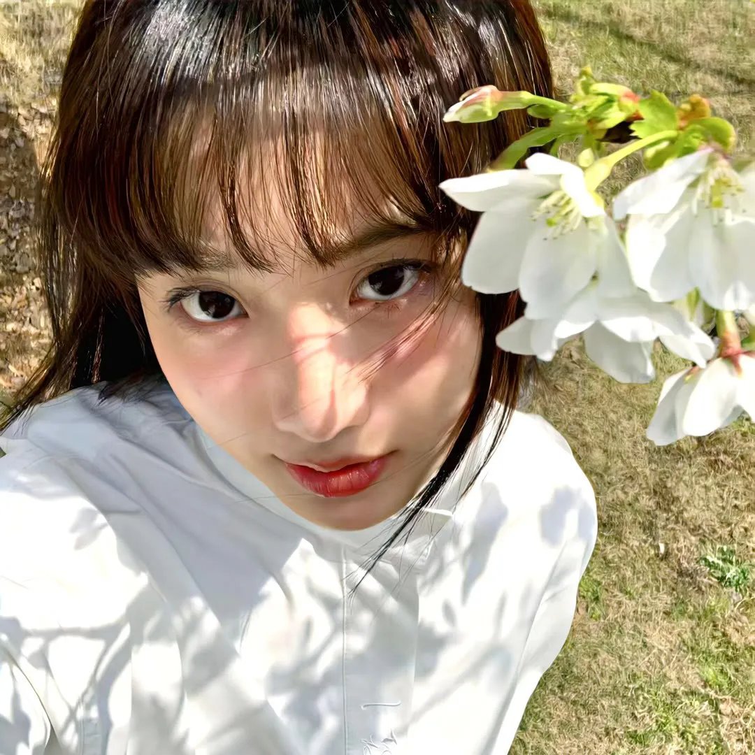 金屋藏夫 在线观看
